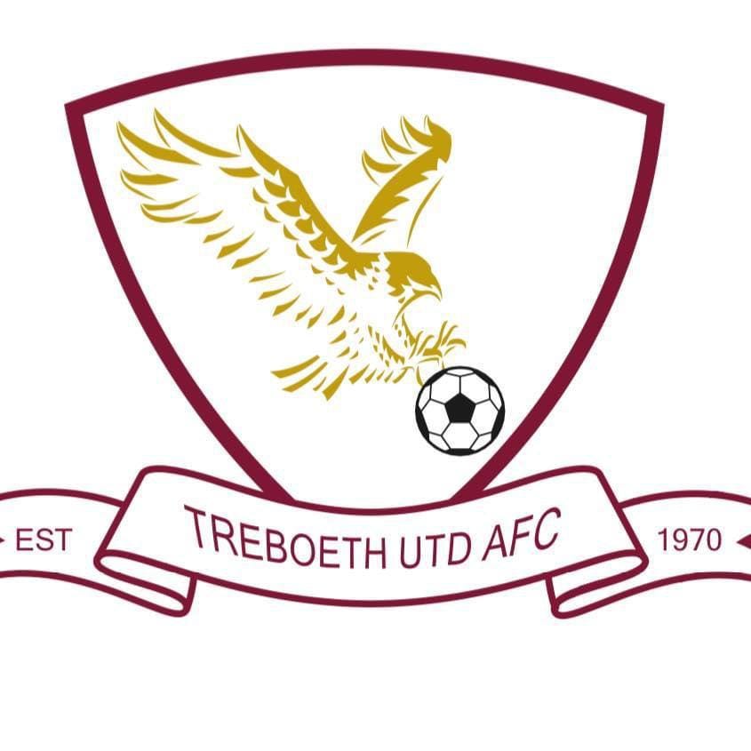 Treboeth United U15s Logo